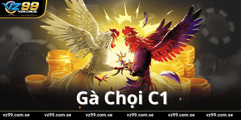 Trải Nghiệm Gà Chọi C1 Với Tỷ Lệ Cược Cao